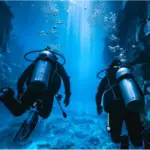 South florida dive classes