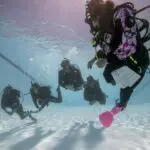 South florida dive classes